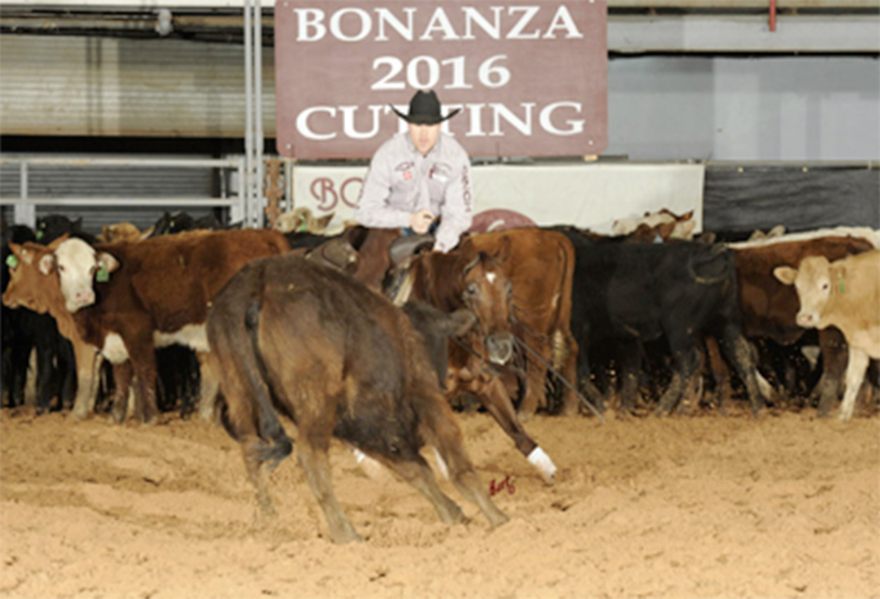 Button Down Supercat Wins Bonanza Cutting Classic Open